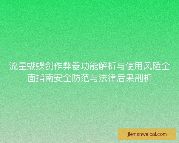 流星蝴蝶剑作弊器功能解析与使用风险全面指南安全防范与法律后果剖析